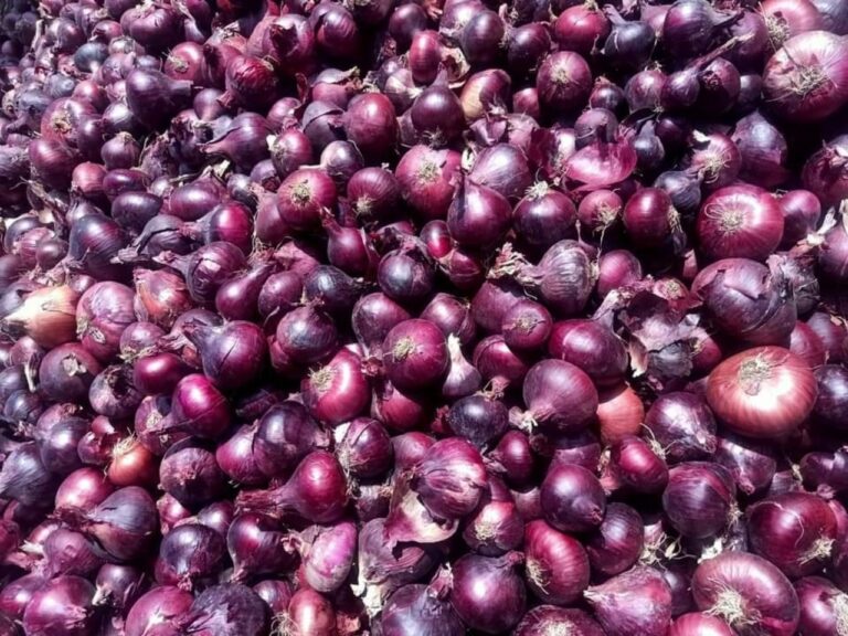 red onion