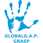GLOBAL_GAP__GRASP_-removebg-preview